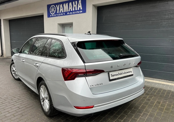 Skoda Octavia cena 84900 przebieg: 19000, rok produkcji 2022 z Rzepin małe 154
